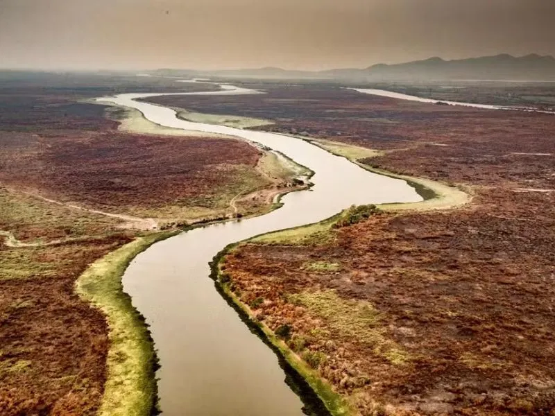 Pantanal tem em 10 dias o dobro de incêndios de setembro de 2023 / Foto: Araquém Alcântara